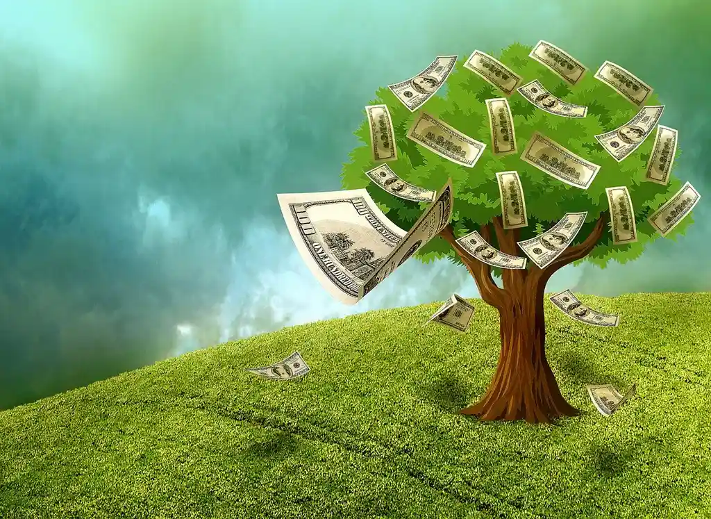 Geldbaum - Leider wächst das Geld nicht am Baum - Finanzierung Wohnmobil